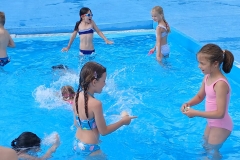 23a54d3d-18db-4e7c-b745-6a7231ab006b