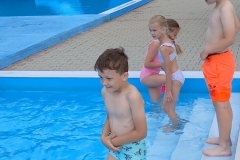 3d873543-3b2b-4dc9-8fdd-57a777770bc7