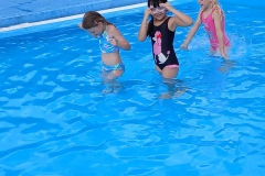 44e27a8a-6e44-4cfa-b003-7bb26fc5c7fe