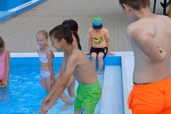 5d4aec51-2624-4847-8230-f68db2ae0f65