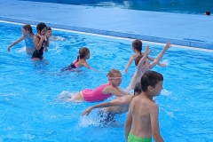 6fbbca7a-b643-4d2a-9086-b79c01fc18e1