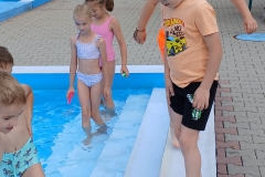 7411e7f0-1e27-4367-aeee-a306326b4eb8