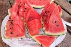 0420d654-a302-49cd-b2c0-34e405bb2ca4