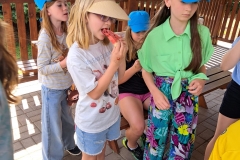 18d66265-e979-4076-964a-3da878ccf7bb