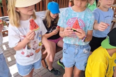 cbfa28d3-4eba-4540-9c60-29e1ebe76973