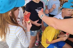 dc55bd94-4423-48ad-a3d2-3a2d02fd3285