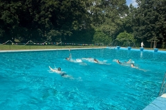 05050c7a-0ece-455d-ac7f-44172fa70931