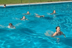 deabcdcb-503b-4436-88e0-c6aa4061687d