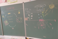 a4dc94b6-3208-462a-9dc9-aaeb7d02a9d3