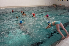 a6e66e04-f76a-428e-b6da-16dd4e1dc34f