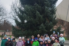 555ac865-57cb-42bb-9c3e-d7c35c67b8b0