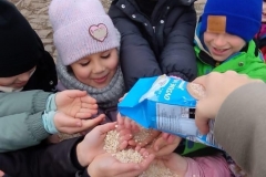 65a8bfb6-9cfa-4f66-b3fa-80a454d1a45b