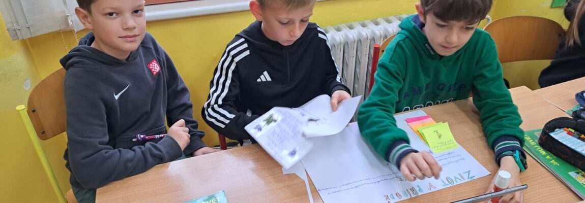 Život v přírodě – projektová práce ve 3.B
