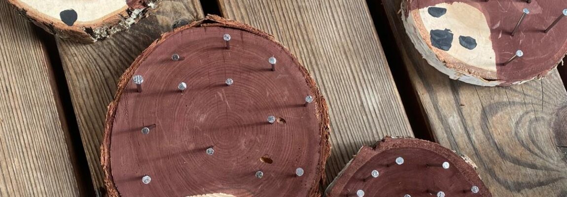 Kutilové od Sluníček