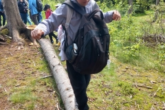 145ad2b3-79b0-4128-b083-674b746d4ff7