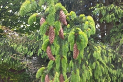 1f916a77-1b46-477d-9604-705e7f49c7bd