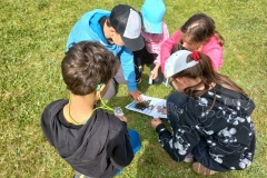 221028a8-2980-40bf-b29a-5aa0ef608f04