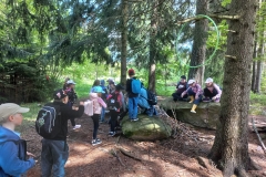 222ee06f-c07a-4b92-8768-f6408a4f5ca7