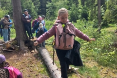 704270e7-8bc5-4105-b2ed-eb5d576a700b