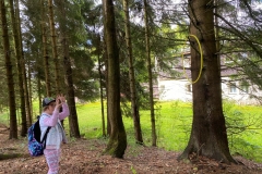 71b21154-4366-4b39-926d-cbcd3e916ec6