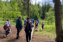 aa72166b-e46a-4a6f-9fca-2d1412dcc78f