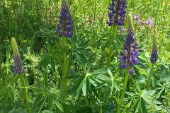 b04ada8b-e9da-4af7-aabb-5393e9e3eda9