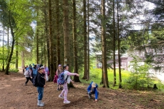 badf8f9d-43b4-440b-bc18-1226a9ff2423