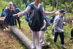 c356ea7c-27e6-41df-94aa-15fd25d2e80c