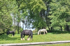 ddb427c4-f85e-4ded-86ff-2f1d2a2faabc