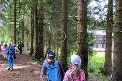 e4e11f77-0e78-4677-a554-c1bf4be2fb94