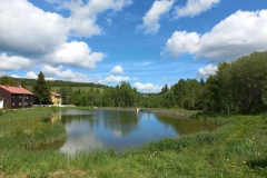 f3b48077-e29d-4162-a018-0b488b1b6ef7