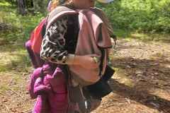 f9042448-0aa1-4c8c-801c-89cdf5acbeb9