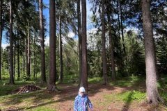 2ea5f4ce-1ec2-4c2c-bb36-d8da2c4accb2