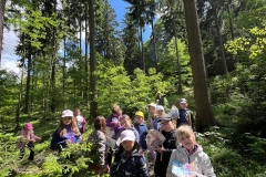 3f77dcb3-673b-4379-b641-555cbf5cb9b7