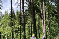 4c2b9496-3ee9-4213-afb3-4184ec4d1ff9