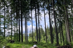 63cec4fe-7654-441b-b15a-58a7c091bead