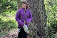 ae52966f-71a9-4ce0-9ac5-50e1874a1a84