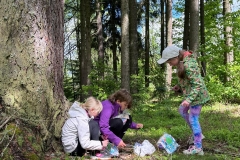 af5335c2-a0dd-4beb-a518-f36ac0c90236