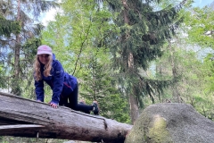 b062d2ea-0466-438d-a9f9-09f6def3038e