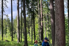 d76d8583-ed7e-4c13-837d-b69d3c3c95e7