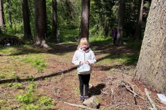 dfee9c11-2d8a-41ce-afa3-7a053c57f4ba