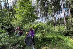 ee925cf1-d4da-4c3d-ac23-36f4eb877523