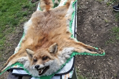 fa0b0d85-749f-4611-b391-a4fbcfbe3797