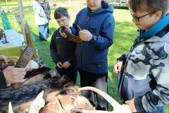 aecd988e-3982-4b3b-8201-f6507caaa2c3