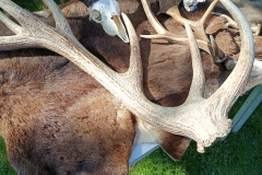 b2c19616-a1c1-4baf-87bb-9ae29d3d4442