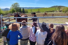 03dfb775-2c64-4bce-b255-8ddc51b7696b