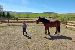 0f42dede-ec41-47a0-a64d-94c3bdc99da7