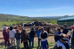 10df0a2c-a362-4675-8516-d1423e1a6d54