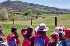 13cf62bb-5c36-4643-8e7b-06b43350c276