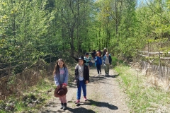 1dd36db2-5e34-41da-8175-c6ce0514456b